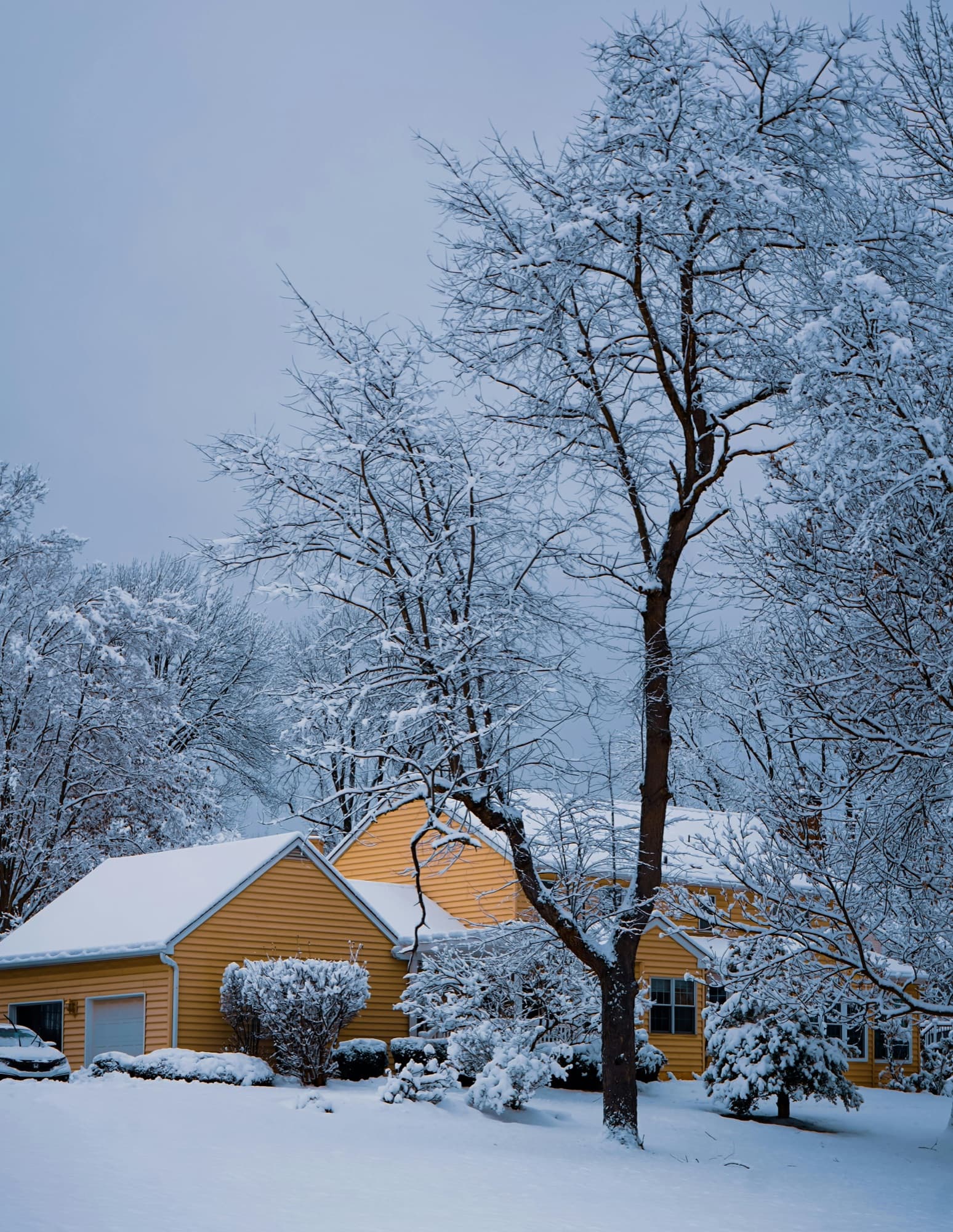 Snow-covered home in winter